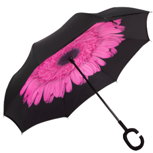 Design Reversible Umbrella
